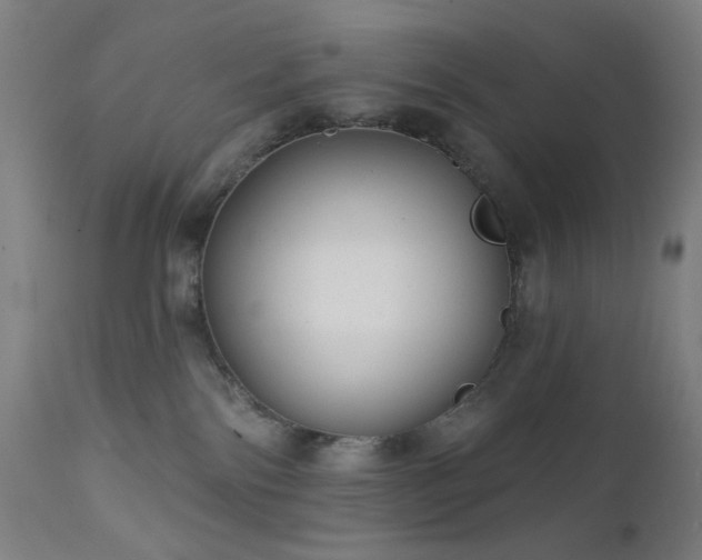 X0000111460138200907131504