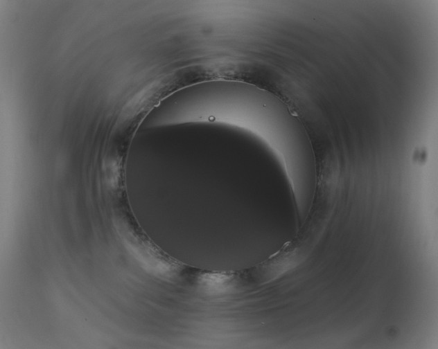 X0000111460139200907131504