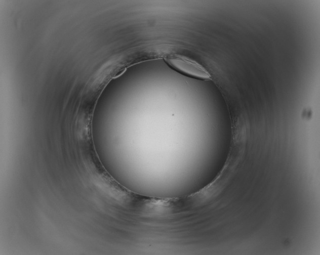 X0000111460140200907131504