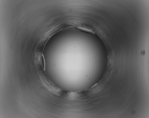 X0000111460141200907131504