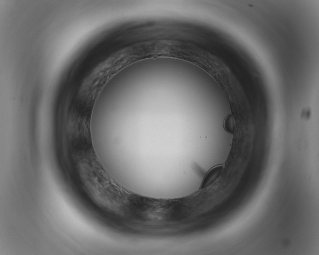 X0000111460142200907131504