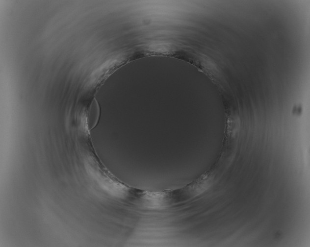 X0000111460143200907131504