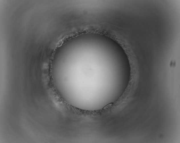 X0000111460144200907131504