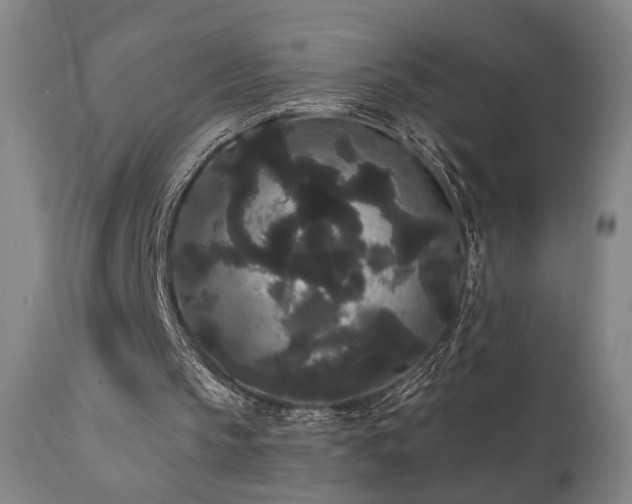 X0000111460145200907131503