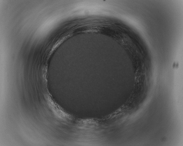 X0000111460146200907131503