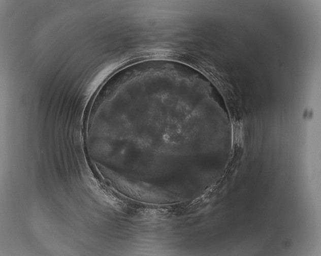 X0000111460147200907131503