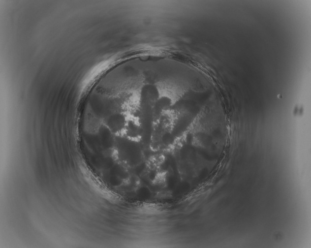 X0000111460149200907131503