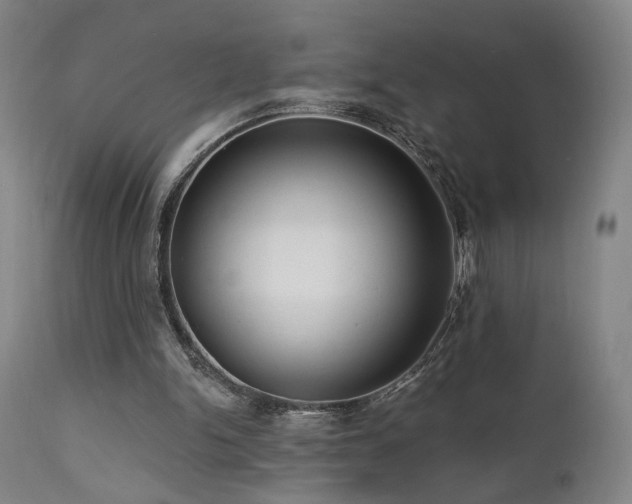 X0000111460150200907131503