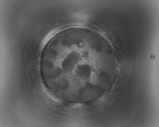 X0000111460151200907131503