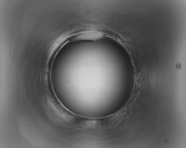X0000111460152200907131503