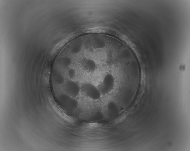 X0000111460153200907131504