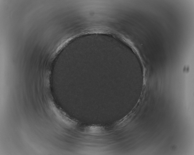 X0000111460154200907131504