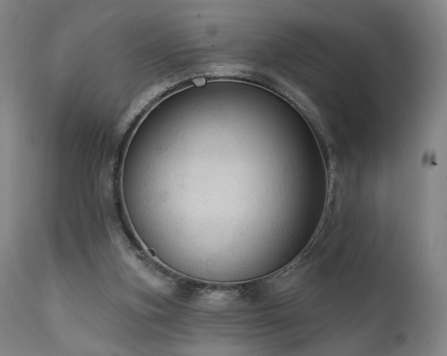 X0000111460155200907131504
