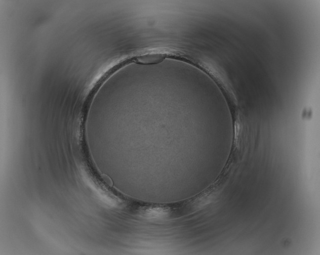 X0000111460156200907131504