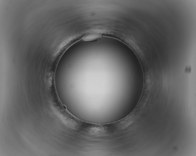 X0000111460160200907131504