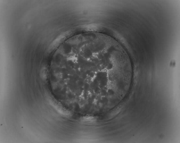 X0000111460161200907131504