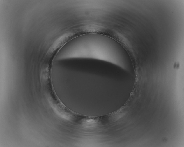 X0000111460163200907131504