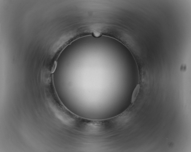 X0000111460164200907131504