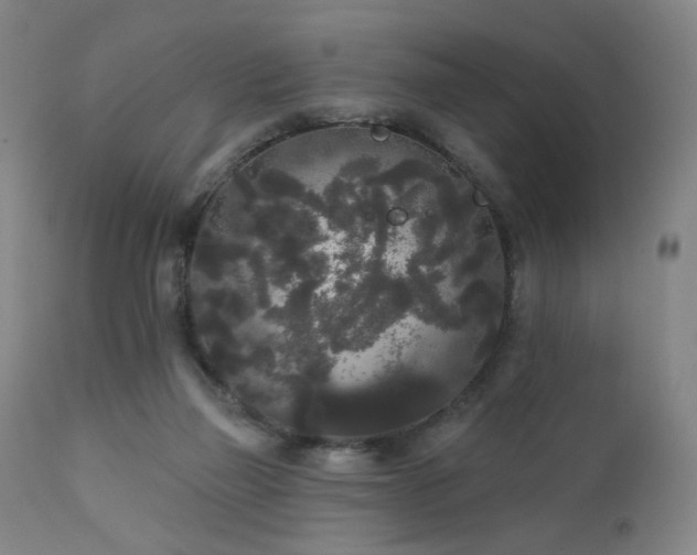 X0000111460165200907131504