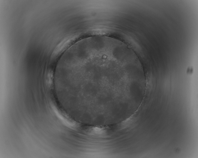 X0000111460166200907131504