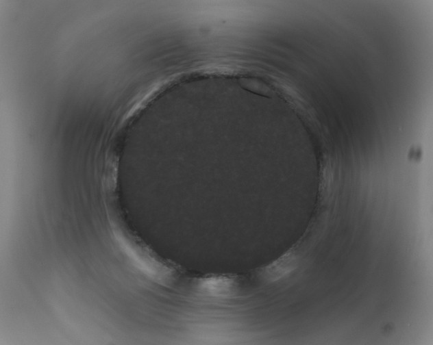 X0000111460168200907131504