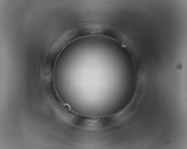 X0000111460170200907131504