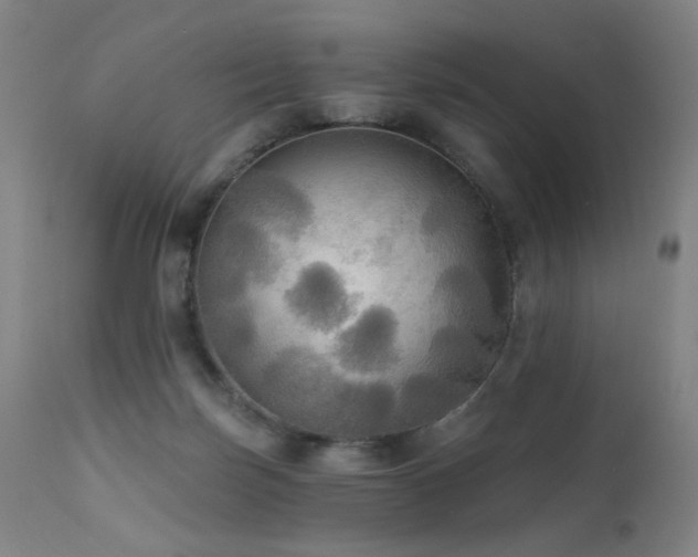 X0000111460171200907131504