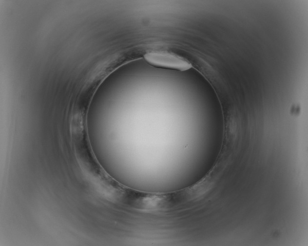 X0000111460172200907131504