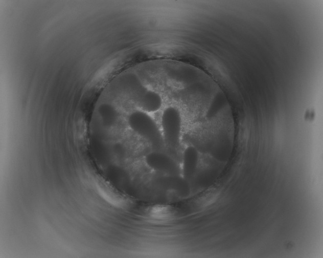 X0000111460173200907131504