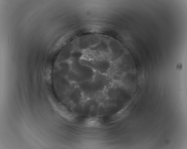 X0000111460175200907131504