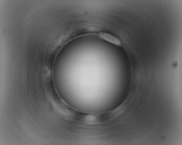 X0000111460176200907131504