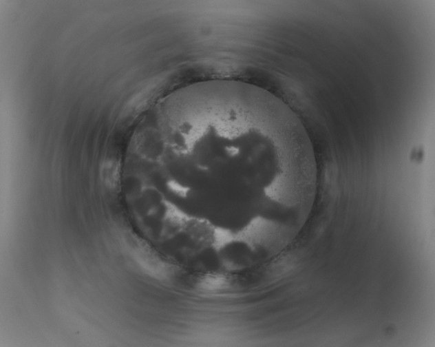 X0000111460177200907131504