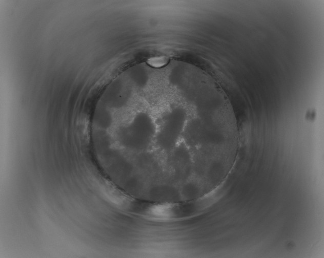 X0000111460178200907131504