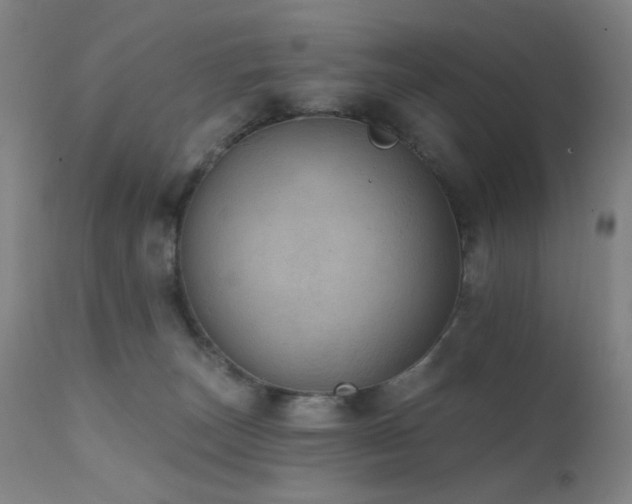 X0000111460179200907131504