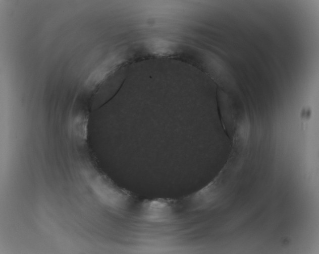 X0000111460180200907131504