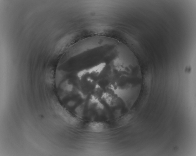 X0000111460181200907131504