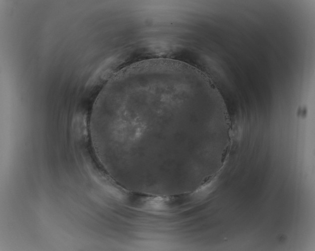 X0000111460182200907131504