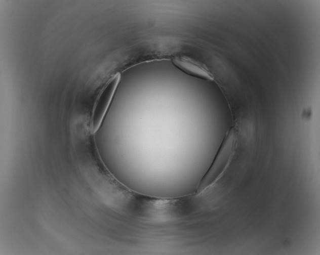 X0000111460184200907131504