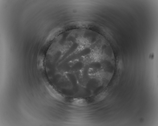 X0000111460185200907131504