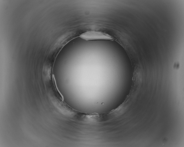 X0000111460188200907131504