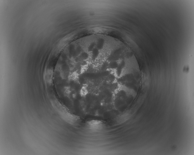 X0000111460189200907131504