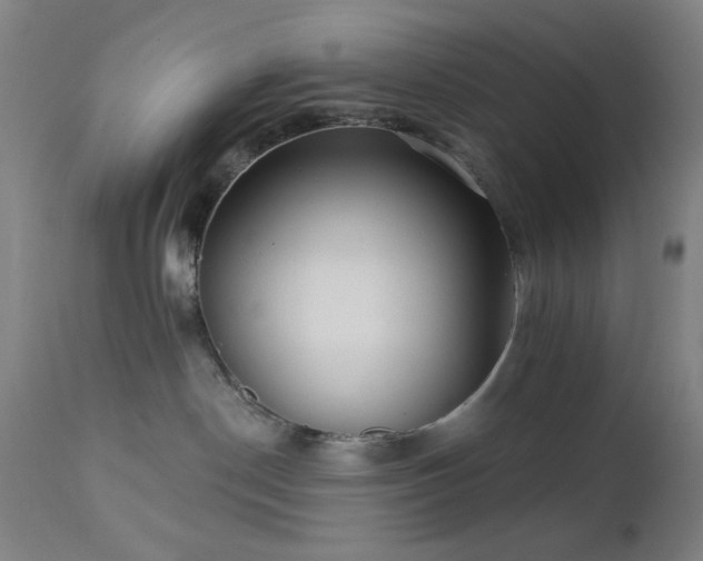 X0000111460190200907131504