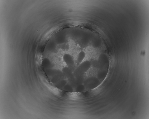 X0000111460191200907131504