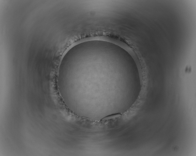X0000111460192200907131504