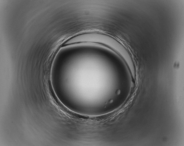 X0000111460193200907131503