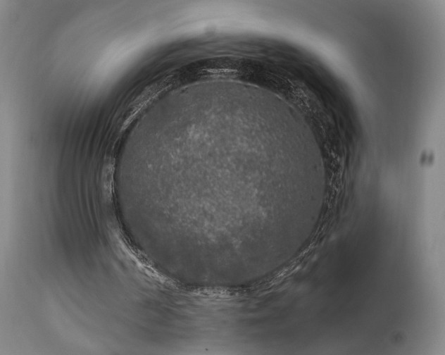X0000111460194200907131503