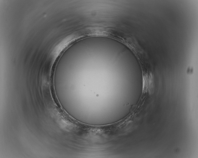 X0000111460195200907131503