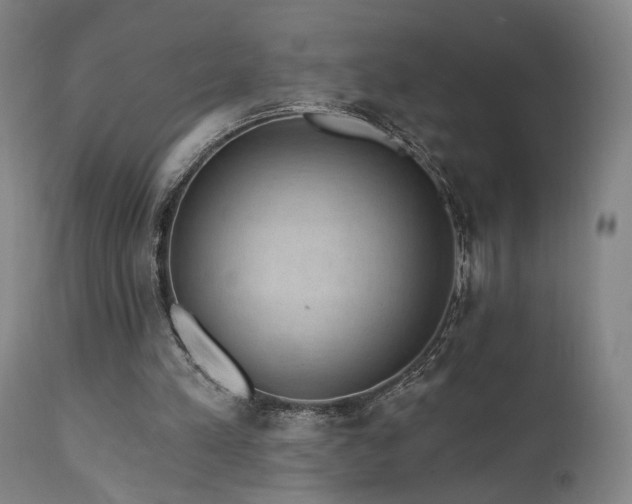 X0000111460197200907131503