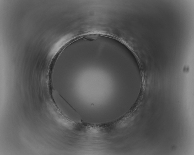 X0000111460199200907131503