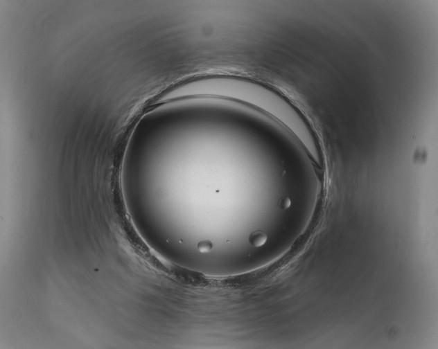 X0000111460201200907131503